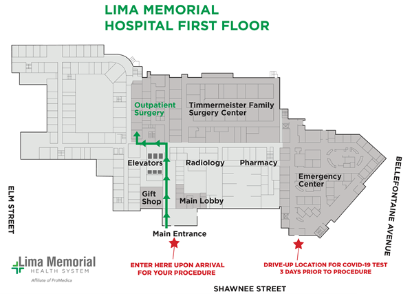 Lima Memorial Map for Surgeries during COVID-19.